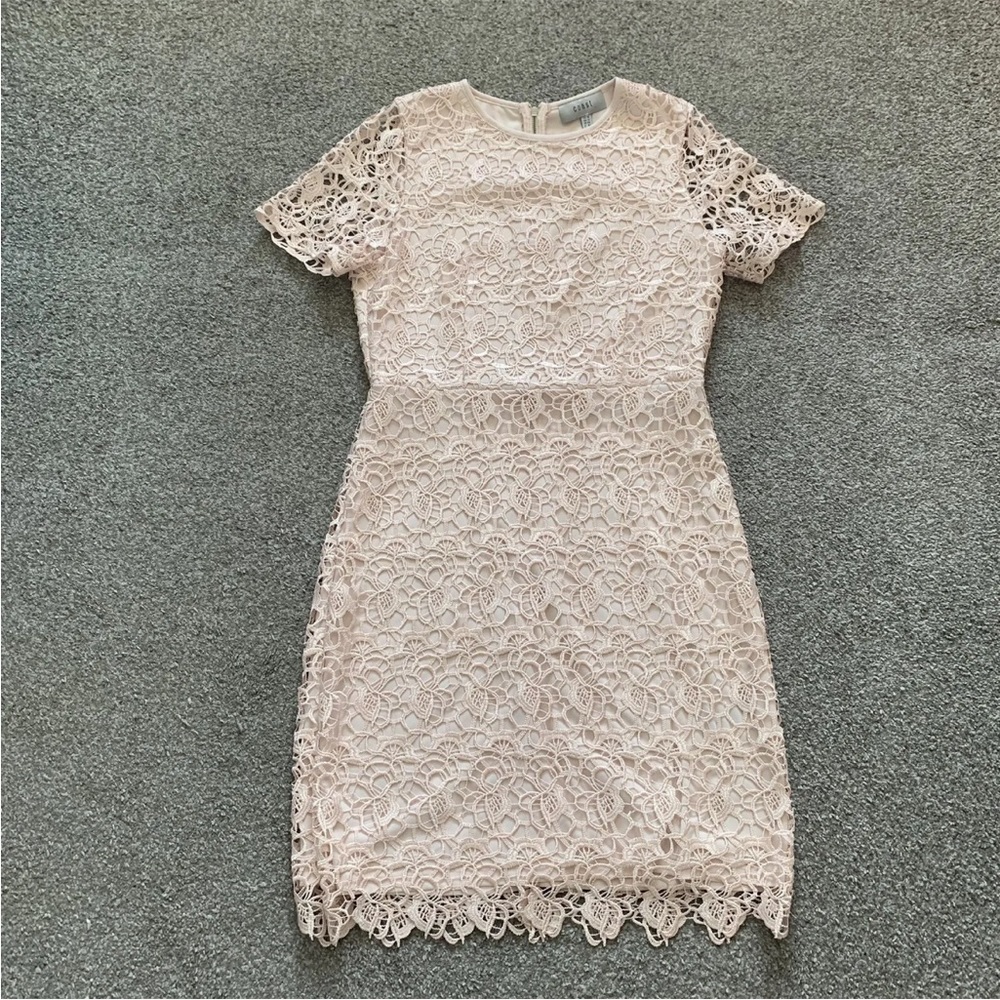 Coast Lace Shift Mini Dress Size 16 Short Sleeve Blush Pink Back Zip - Picture 1 of 12